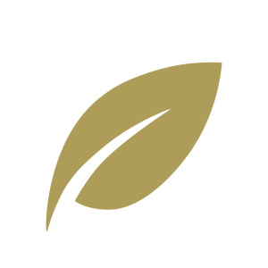 The Finance Woman logo